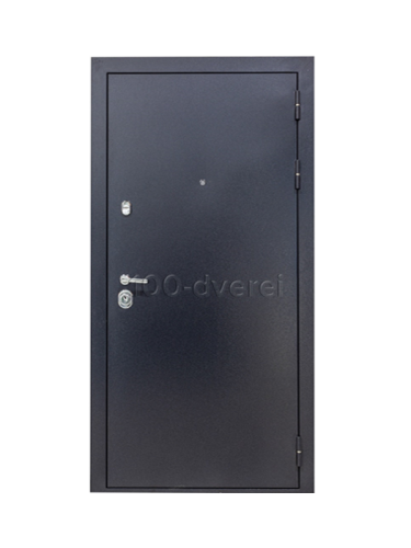 Входная дверь<br> Модус-40/1 DIVA