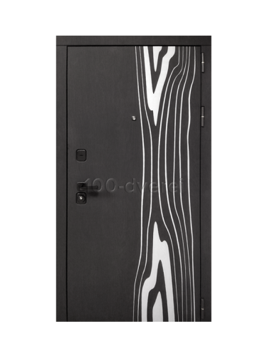 Входная дверь<br> Леванте Ясень черный