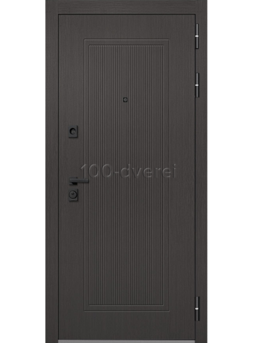 Входная дверь<br> Тусон RAL 8022