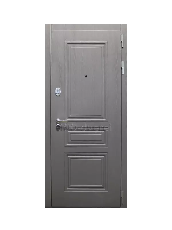 Входная дверь Брайтон цвет графит