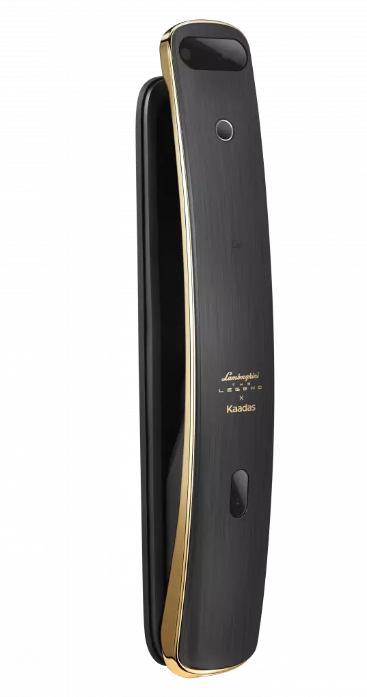 Биометрический электронный замок с распознаванием лица Kaadas K13F (gold)