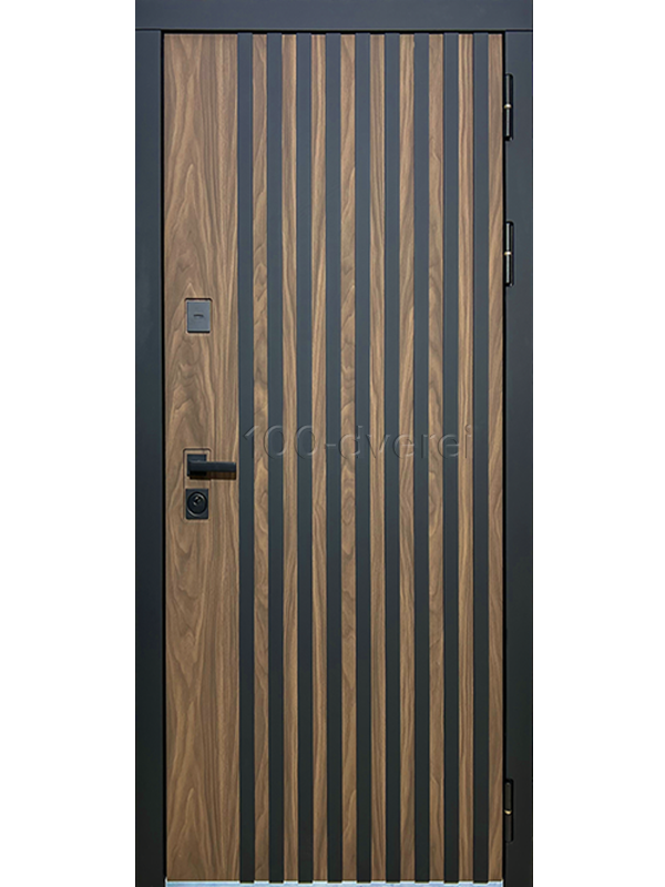 Входная дверь Axil-1