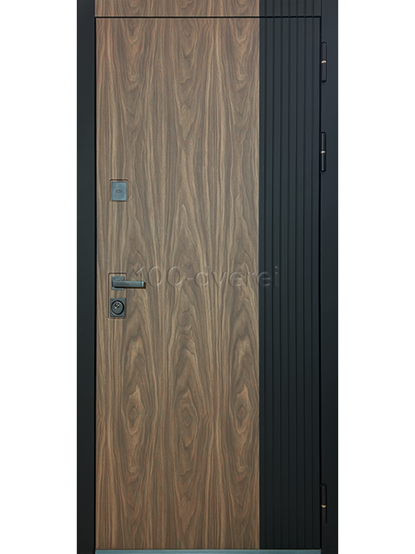 Входная дверь Axil-2