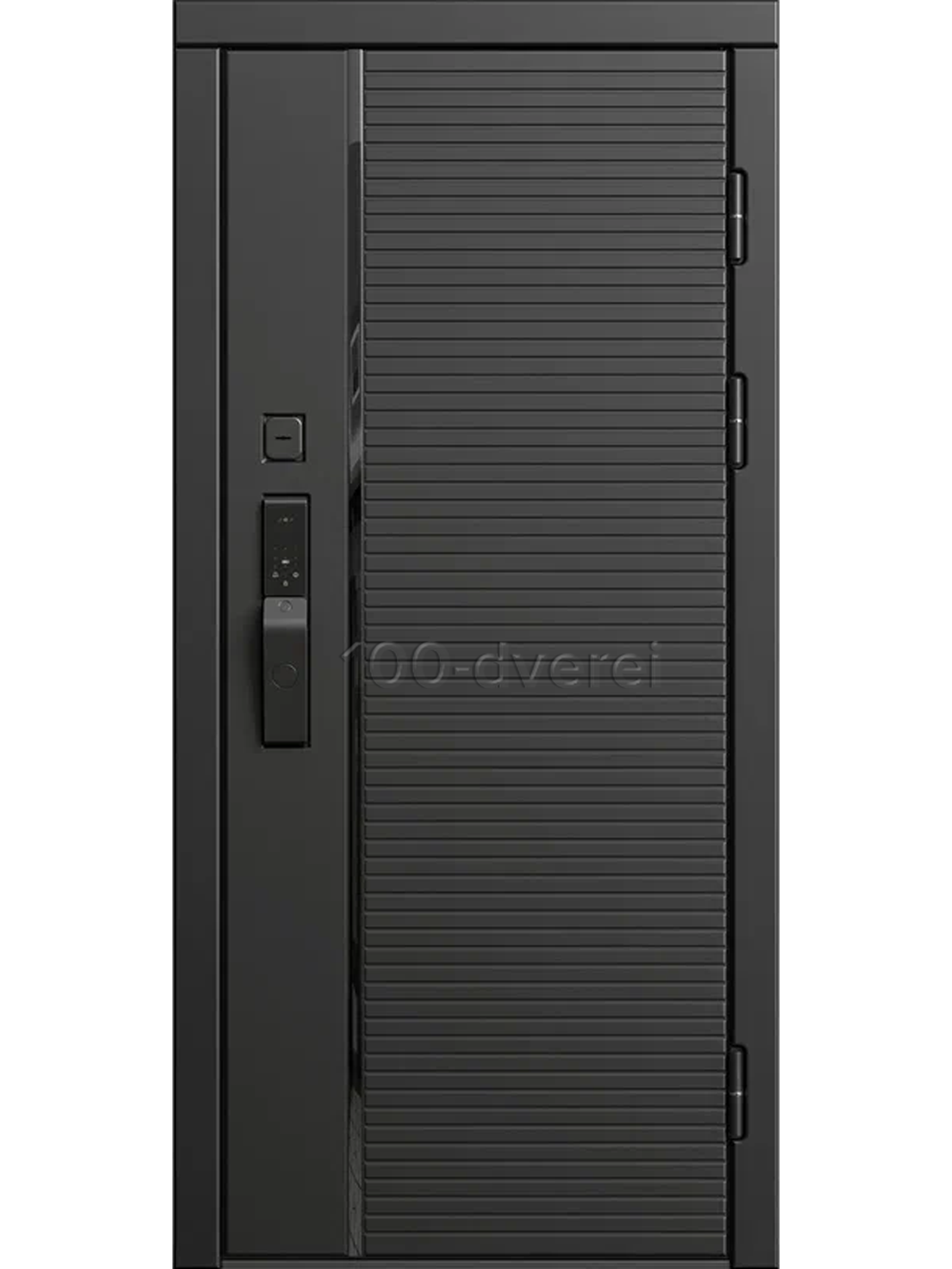 Входная дверь Obsidian Line SMART