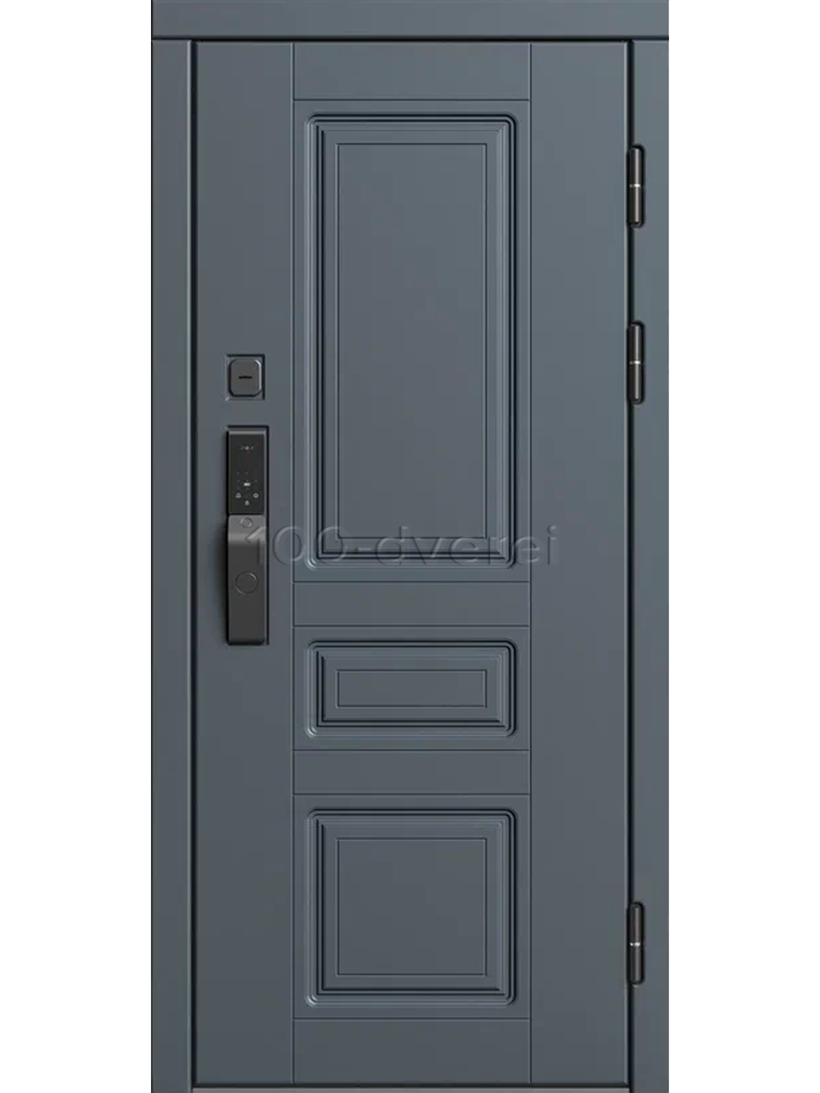 Входная дверь Аризона Графит SMART