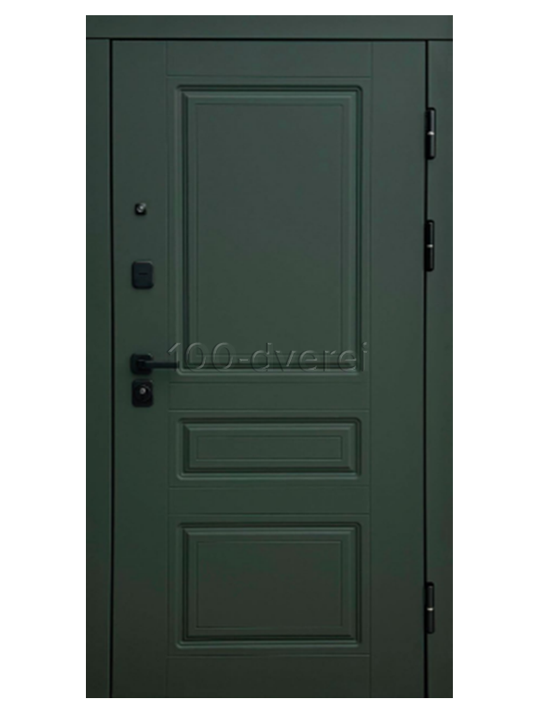 Входная дверь Аризона Green