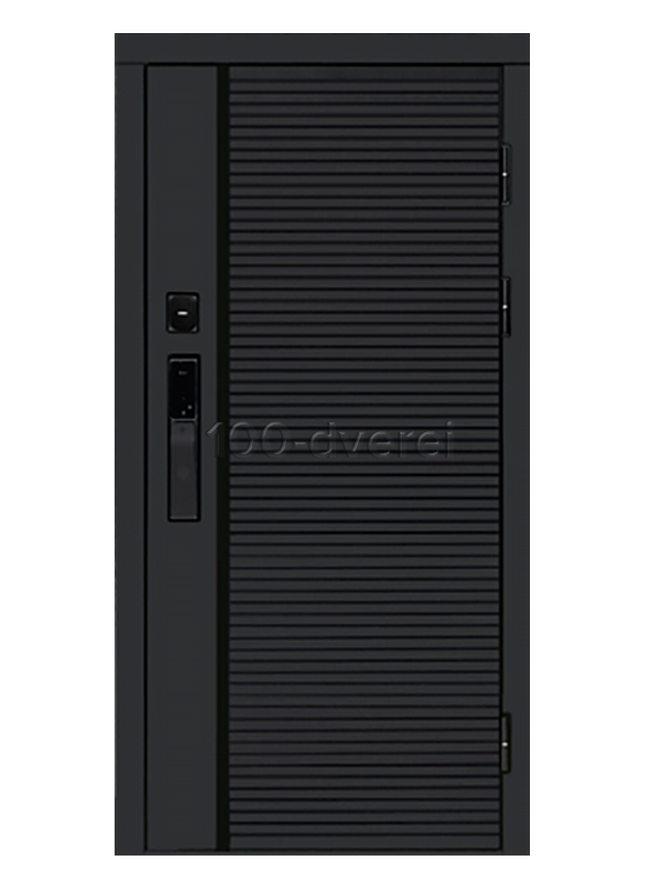 Входная дверь Obsidian Line SMART